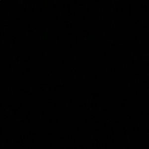 Meet your Posher, Ellis